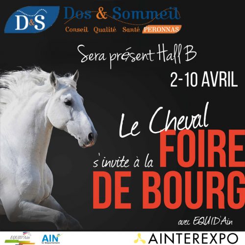 Dos & Sommeil Foire de Bourg en Bresse 2016