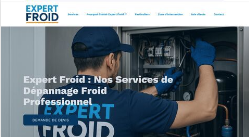 Expert Froid 